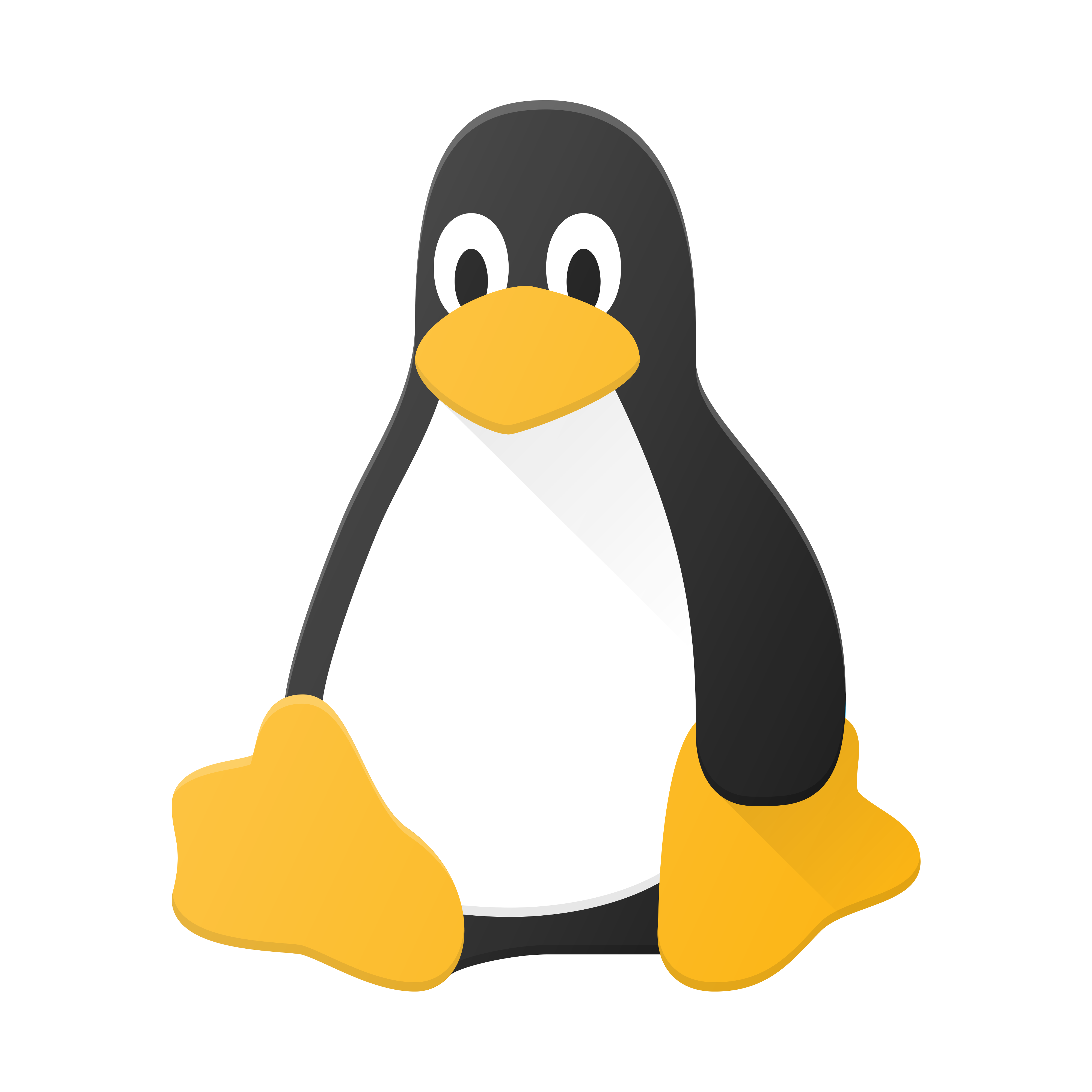 Linux